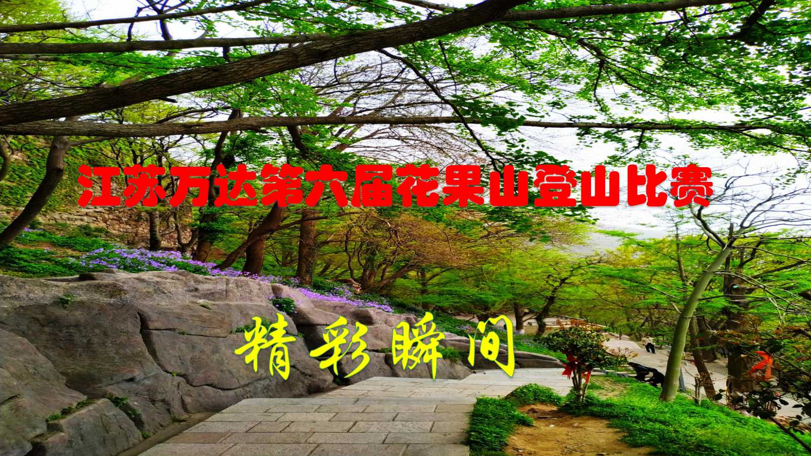 六全宝典资料