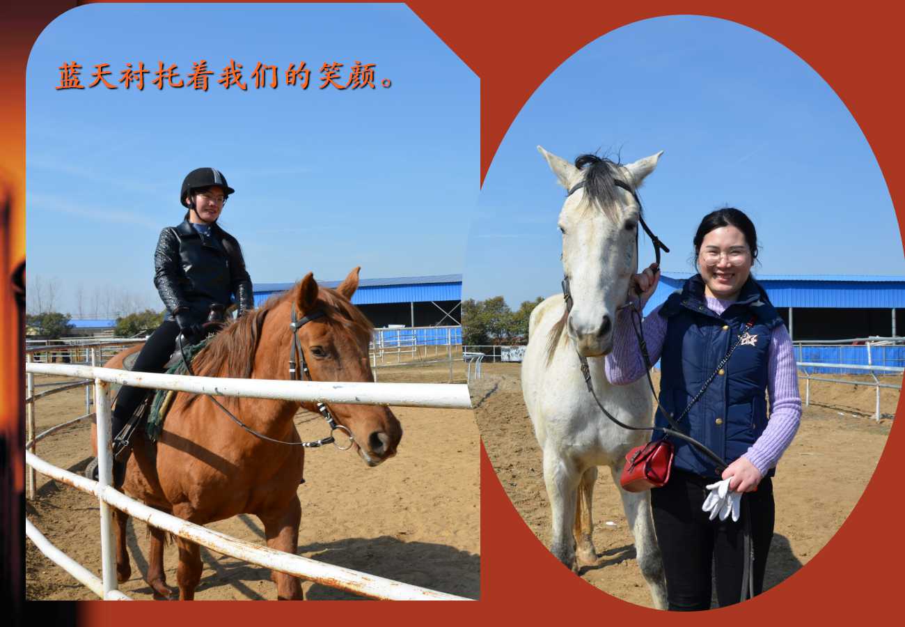 六全宝典资料