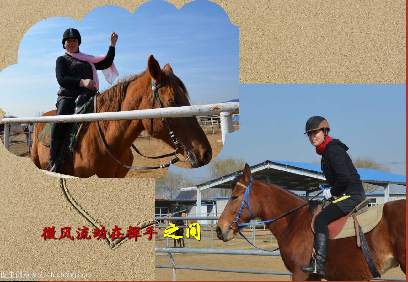 六全宝典资料