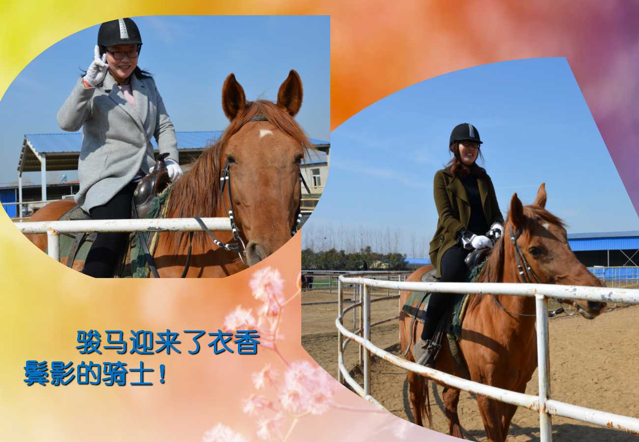 六全宝典资料