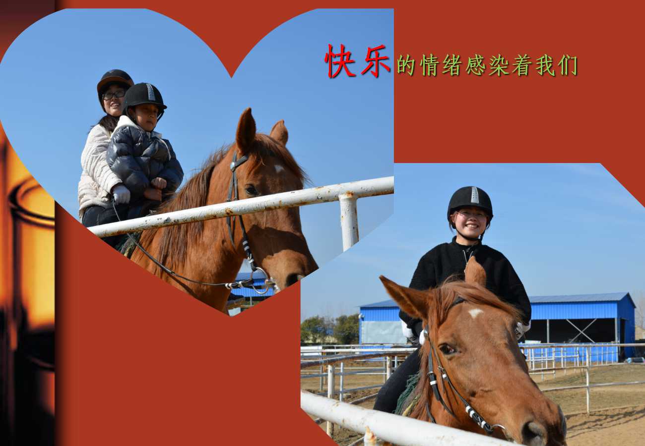 六全宝典资料