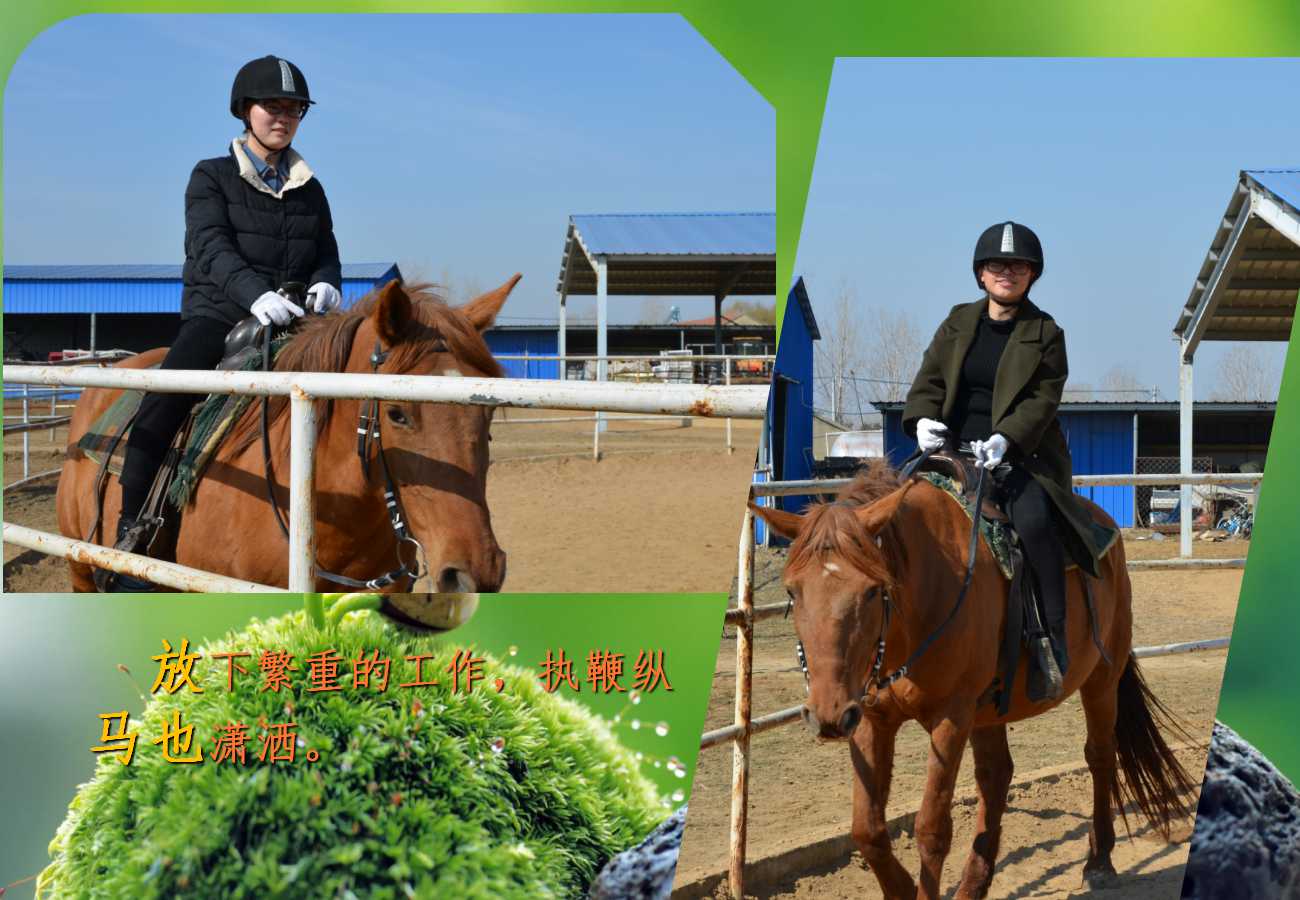 六全宝典资料
