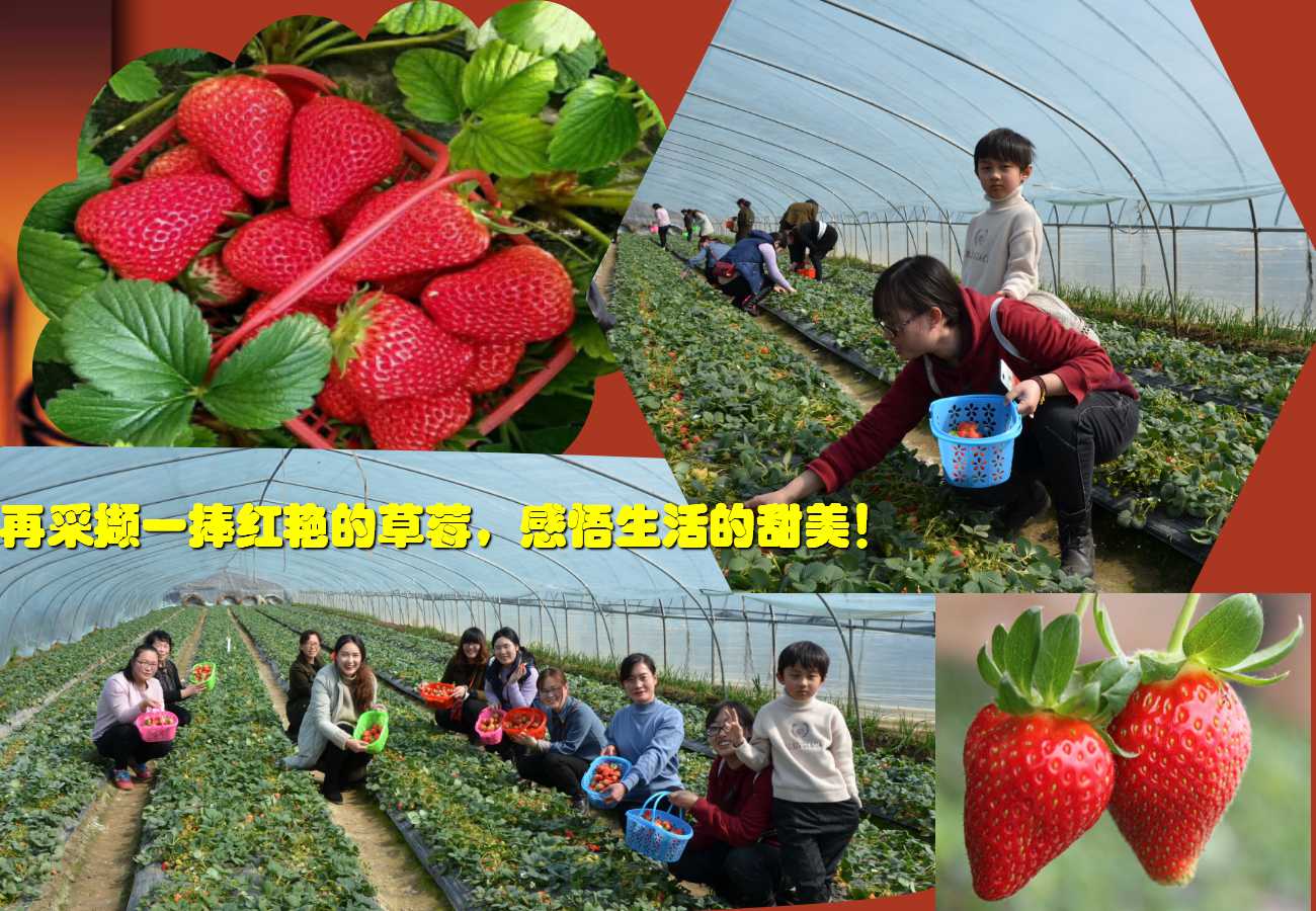 六全宝典资料