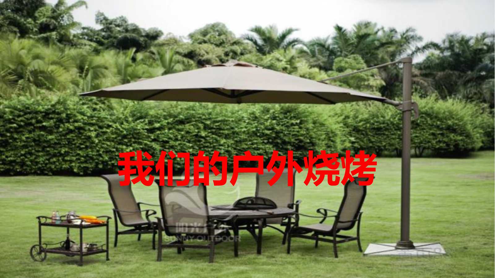 六全宝典资料