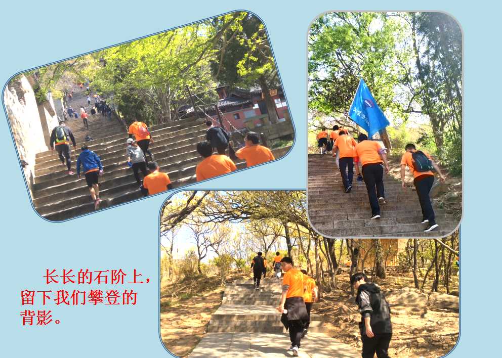 六全宝典资料