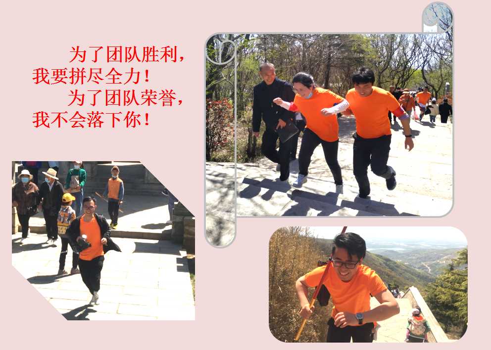 六全宝典资料