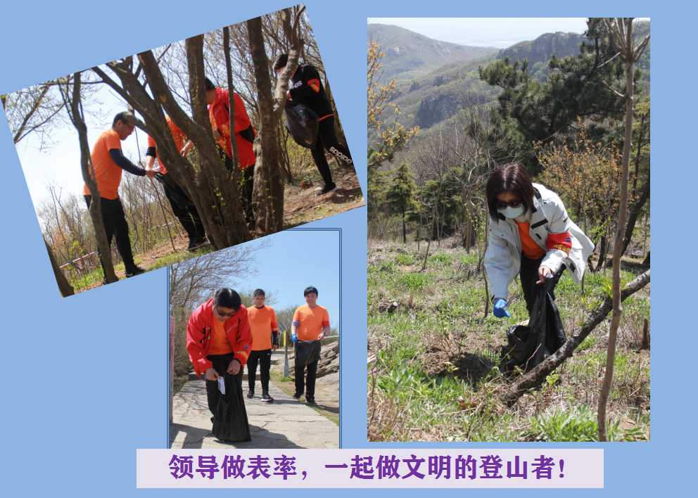 六全宝典资料